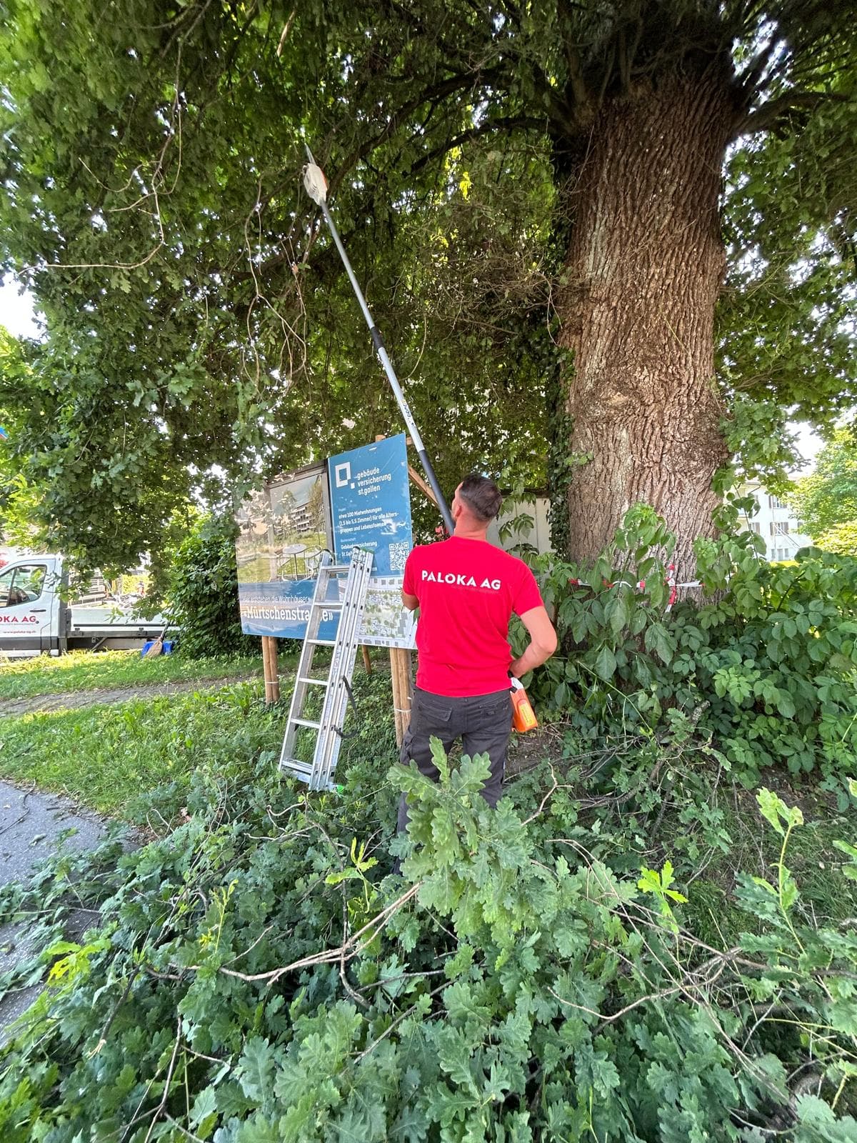 Ein Paloka-Mitarbeiter arbeitet mit einem Teleskopgerät an einem Baum. Geschnittene Äste liegen im Vordergrund.