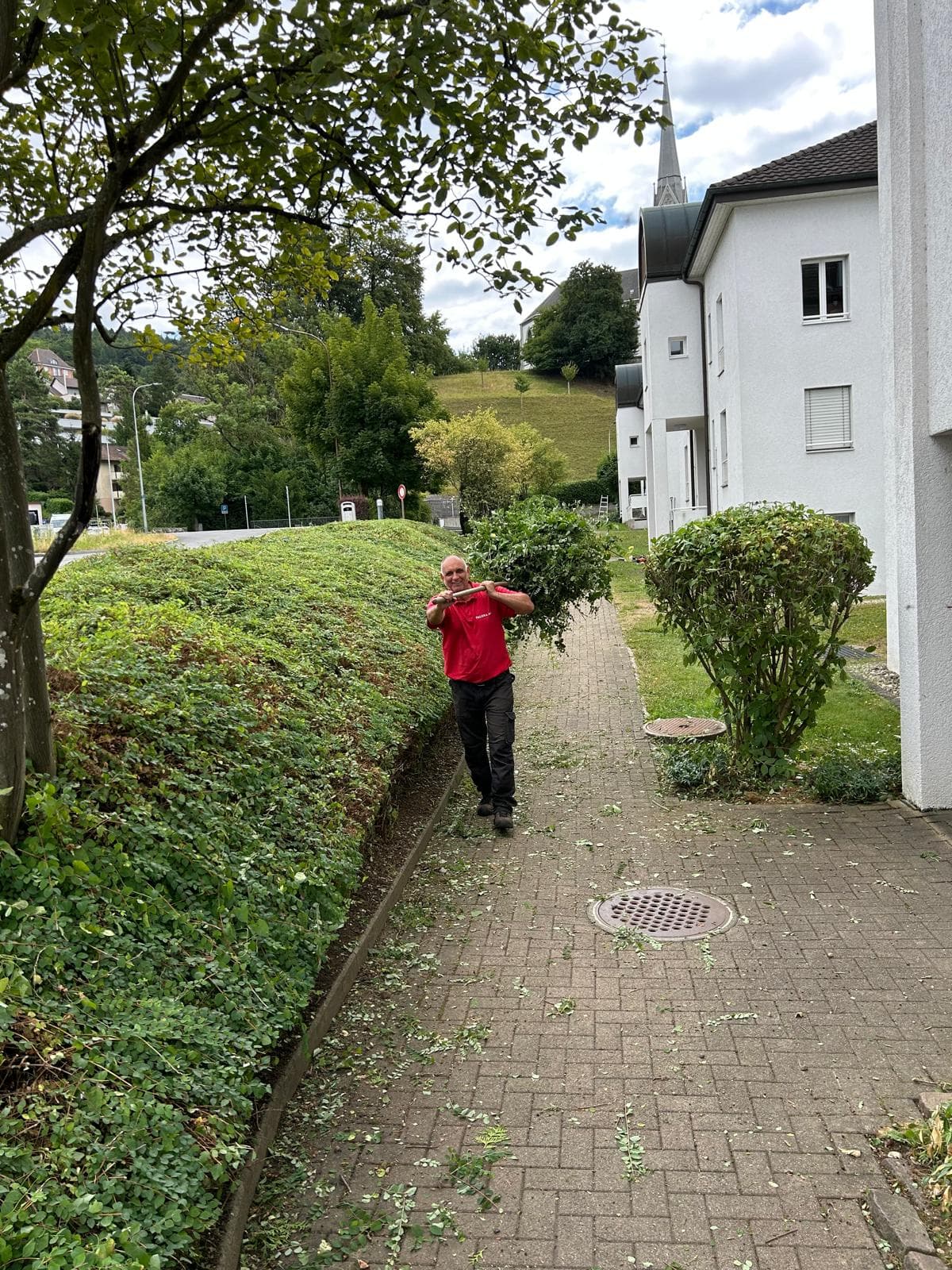 Ein Paloka-Mitarbeiter entfernt Schnittgut an einer Hecke neben einem Gehweg und einer Wohnliegenschaft.