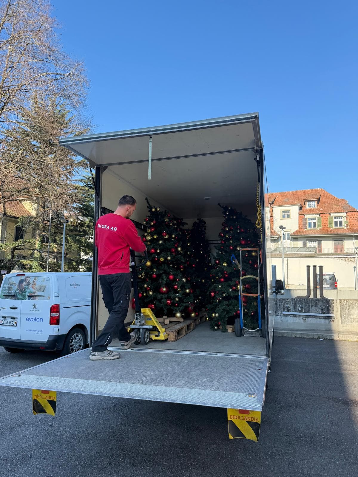 Ein Paloka-Mitarbeiter auf der Ladebordwand eines Lastwagens mit geschmückten Weihnachtsbäumen im Laderaum.